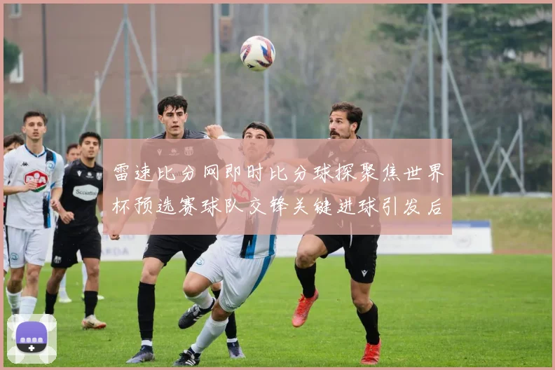 雷速比分网即时比分球探聚焦世界杯预选赛球队交锋关键进球引发后续争夺